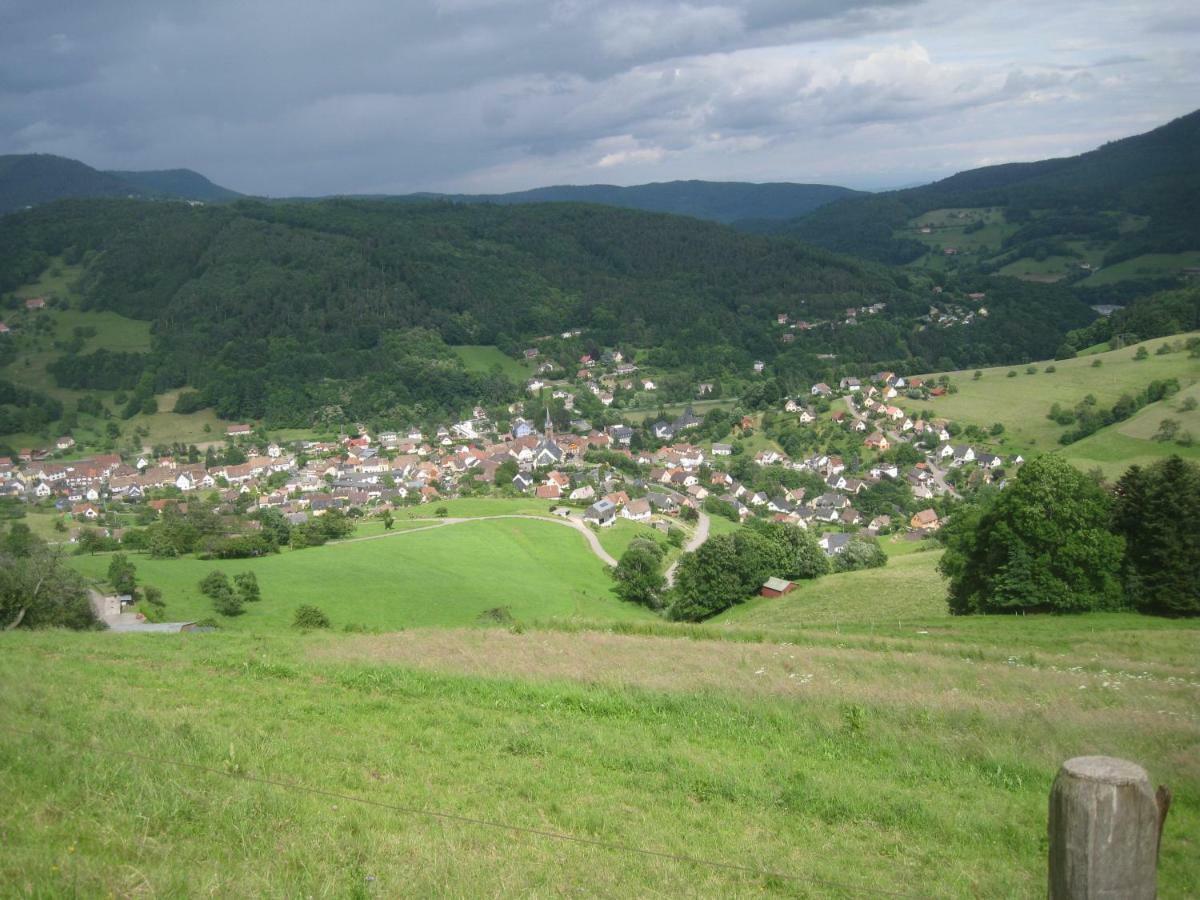 Apartment En Pleine Verdure Au Coeur Du Village Lapoutroie